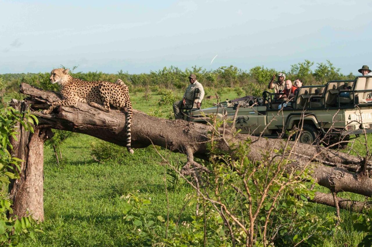 Inyati Game Lodge Резерват Саби Сенд Гейм Екстериор снимка
