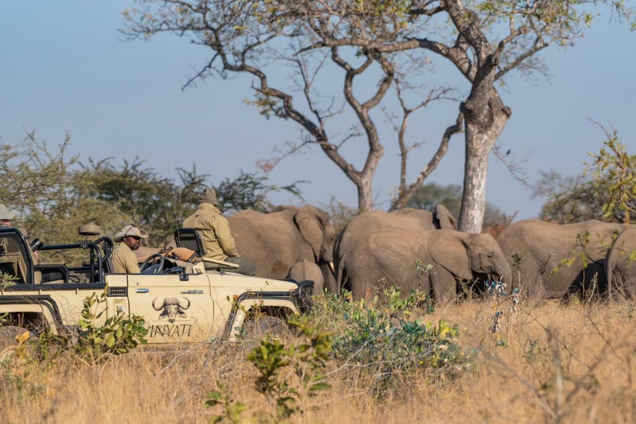 Inyati Game Lodge Резерват Саби Сенд Гейм Екстериор снимка